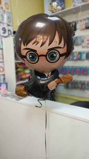 Гаррі Поттер